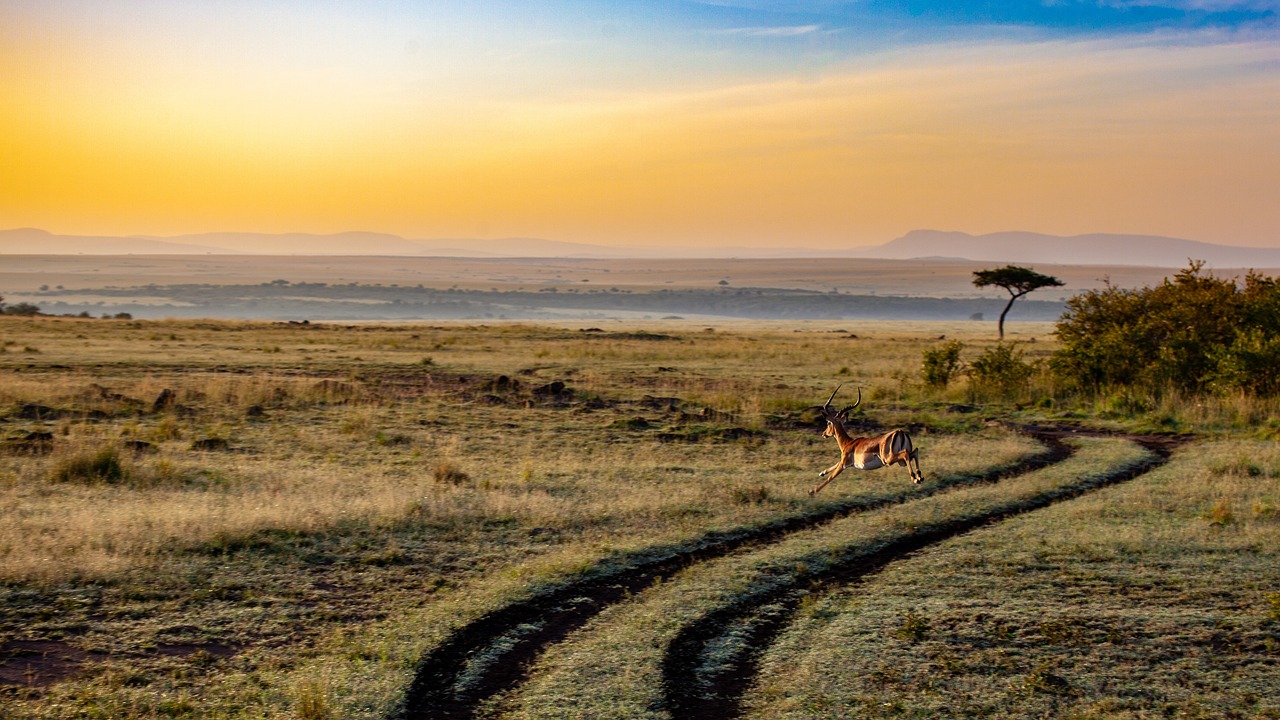 African landscape